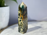 7th Vein Ocean Orbicular Jasper *VERY RARE*